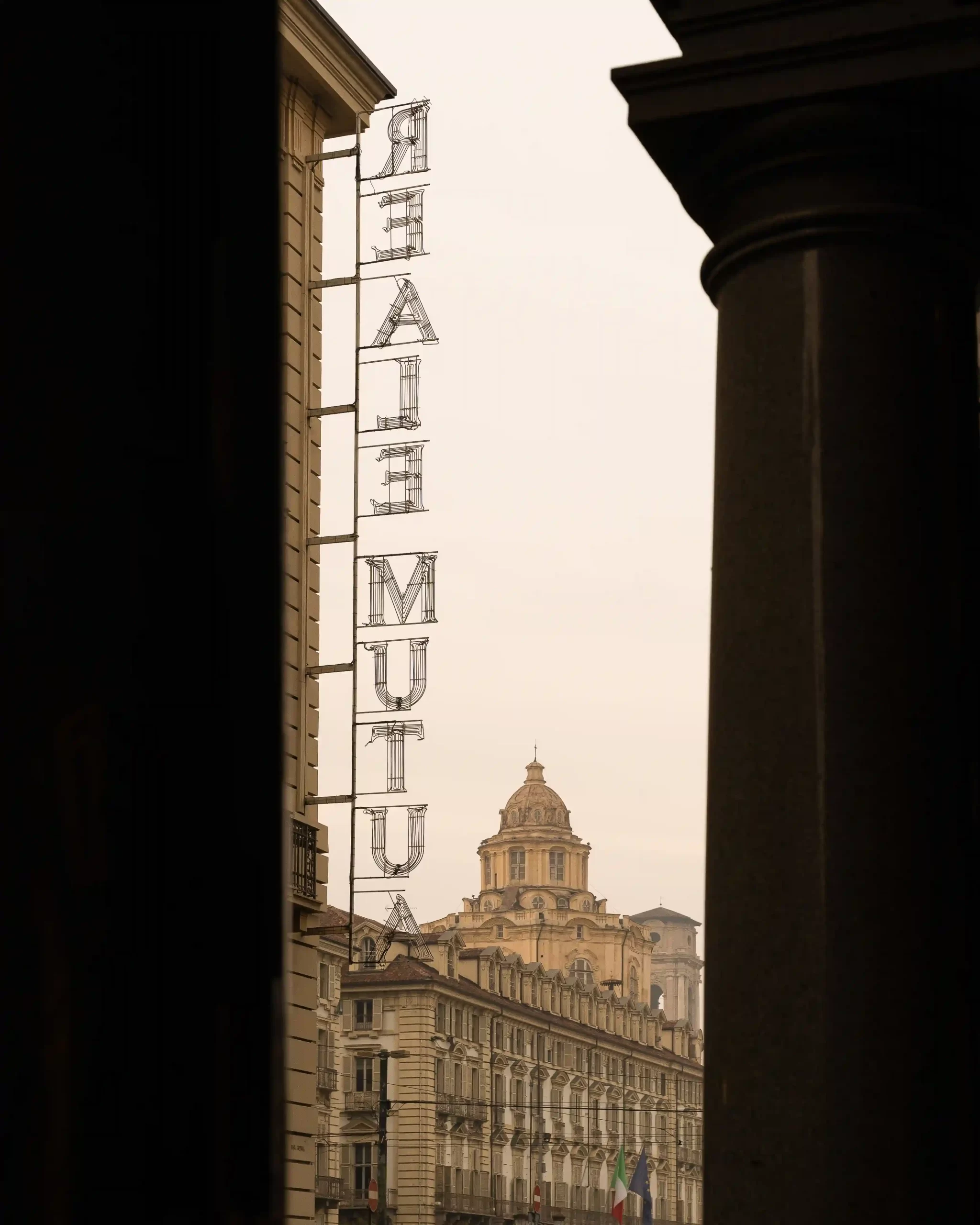 A view in Turin